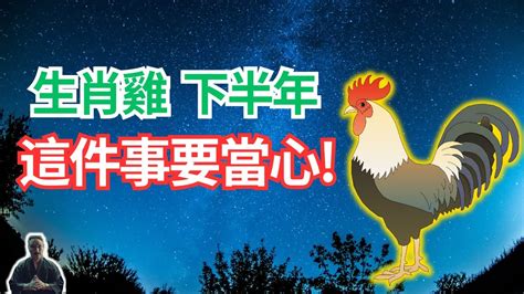 屬雞下半年運勢|2024屬雞幾歲、2024屬雞運勢、屬雞幸運色、財位、禁忌